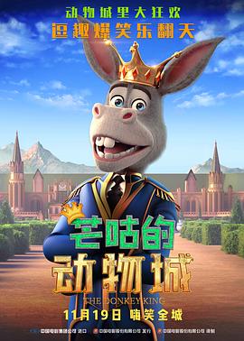 91专区在线