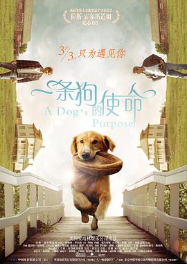 女生啊啊啊
