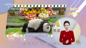 性欲旺盛有夫之妇